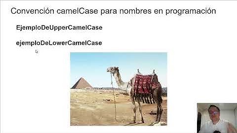 Programación desde cero, video 23 de 29. JavaScript: Camel case y ubicación de etiqueta script