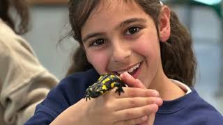 Raglan Schools trip to The Hive 2023