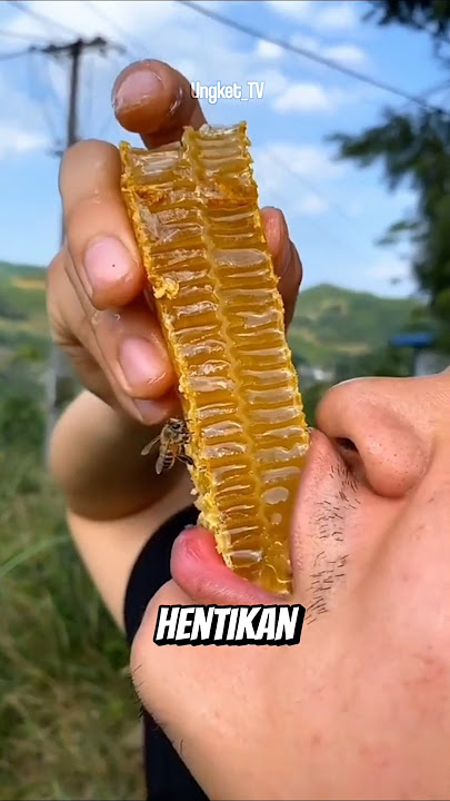 Jangan pernah makan madu seperti ini 😱