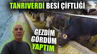 Ankara da Kendi Çiftliğimi Kurdum Herkesi Bekliyorum