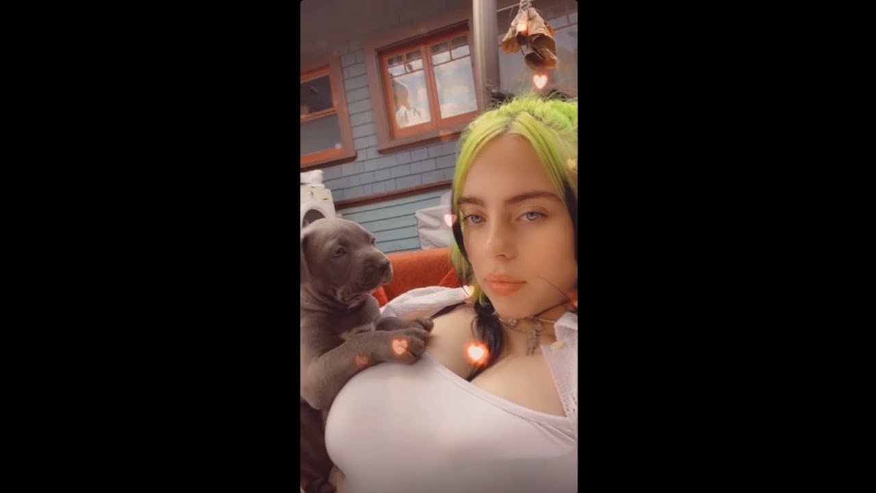 Billie Eilish tits showcase (only for simps) - YouTube