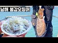 해롭다는 봄갑오징어 초보자도 잡을 수 있을까? | 남해 고흥 녹동항 | 갑오징어 선상낚시 | 갑오징어회