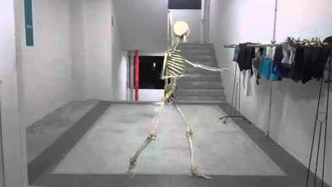 FxGuru Video:Dancing Skeleton
