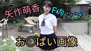 矢作萌香（元AKB）Fカップオカズ