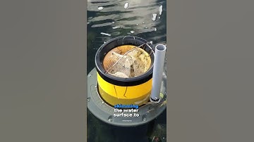 Seabin: Fighting Ocean Plastic Pollution (One Marina at a Time) #shorts  #pollution #ytshorts #viral