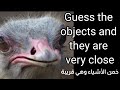 Guess The Objects And They Are Very Close Objects In Macro 