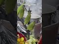 عرانيس الذرة المسلوقة لبنان اكل الشوارع Streetfood Lebanon عرانيس الذرة المسلوقة لبنان اكل الشوارع Streetfood Lebanon