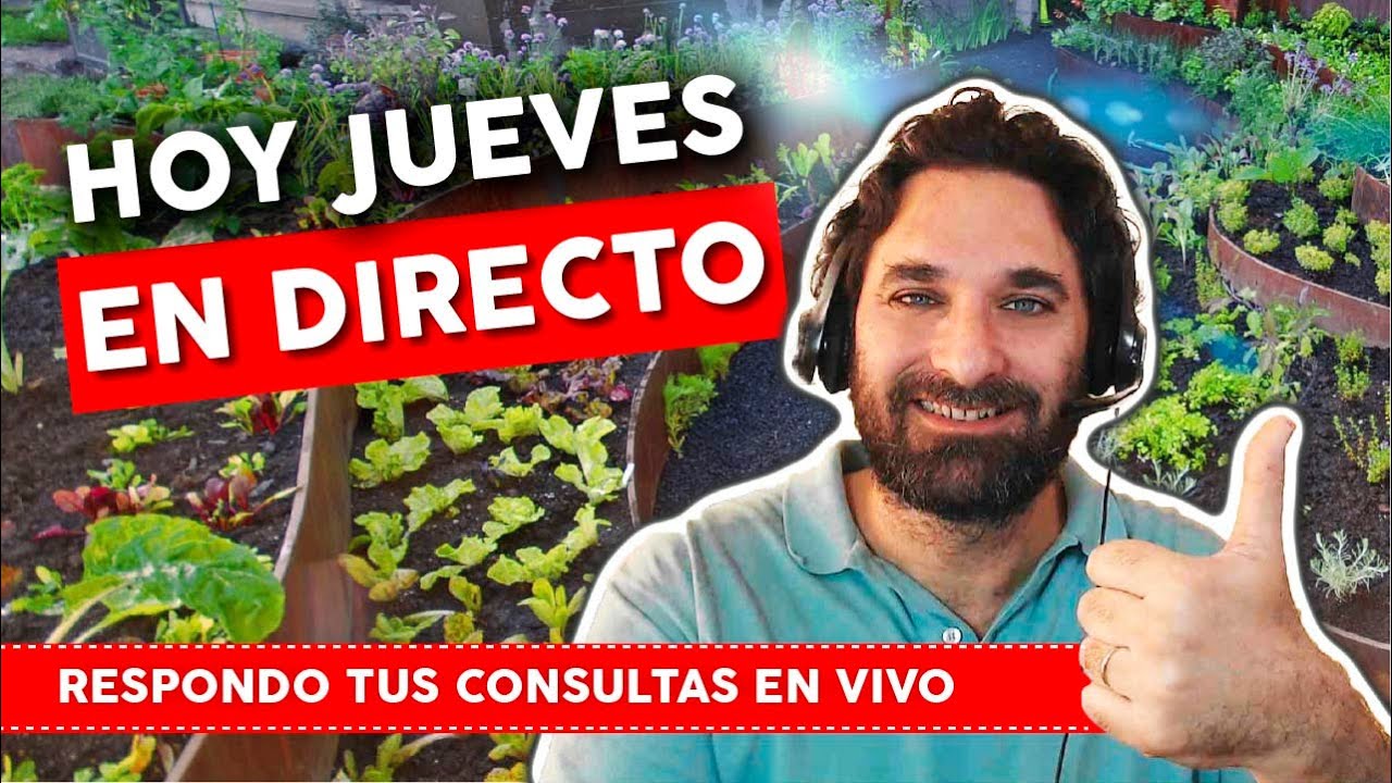 HOY EN VIVO!! RESPONDO TUS CONSULTAS - Horario en la descripci�n.