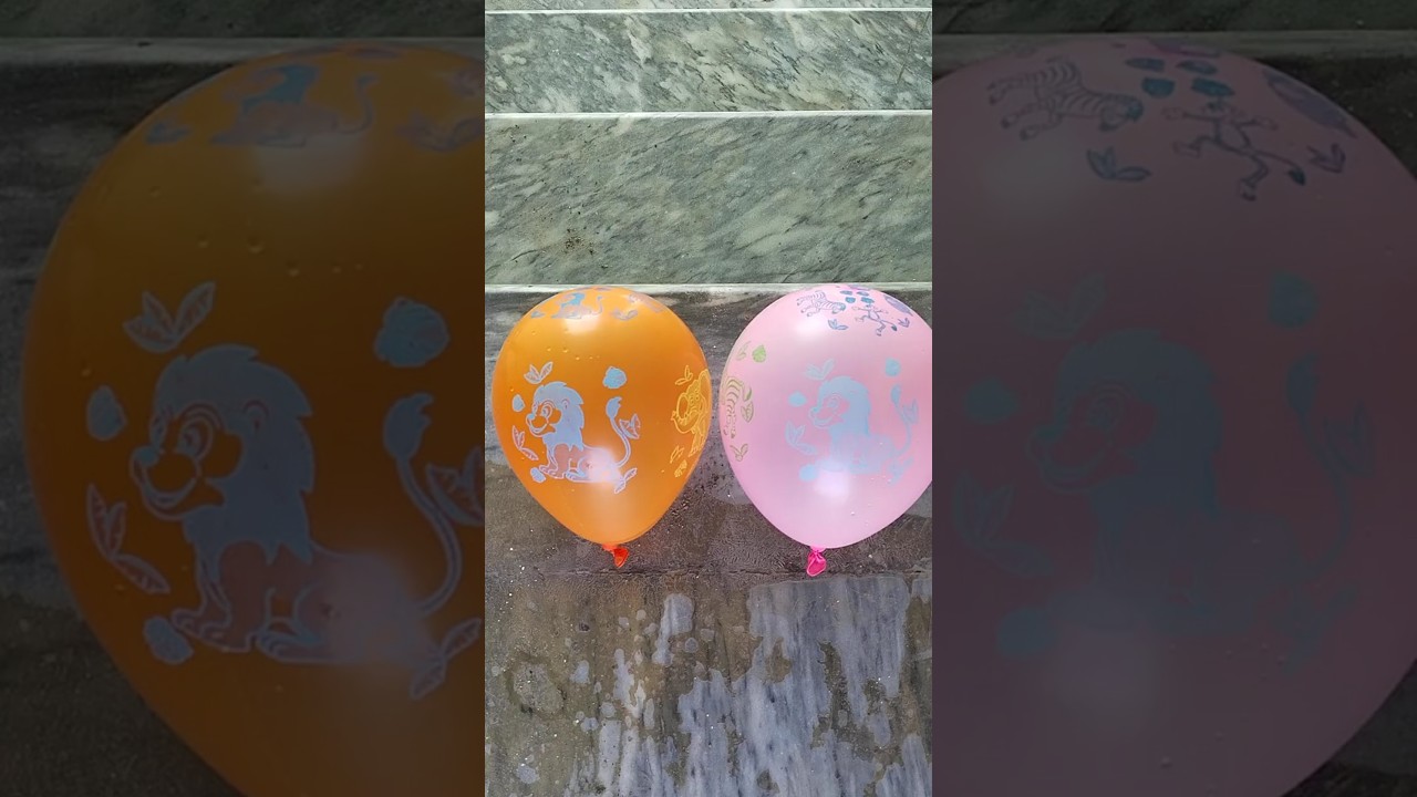 POV: Red Vs Pink Lion Balloon Drop Test & Pop 💦💨🎈Experiment ASMR Satisfaction 