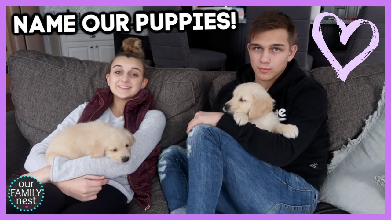 LETTING Our SUBSCRIBERS Pick Our PUPPY'S NAME! *HELP US*