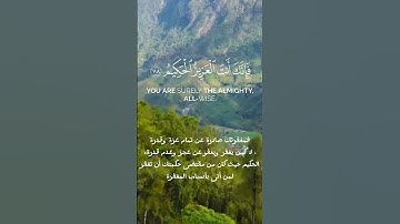 سورة المائدة الآية ١١٨ #اكسبلور #تلاوة #تلاوة_خاشعة #خشوع  #قرآن  #قران_كريم #سورة_المائدة