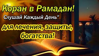 🔊✔ Красивый Коран на месяц Рамадан. Слушайте Каждый день от всех ваших проблем и бед