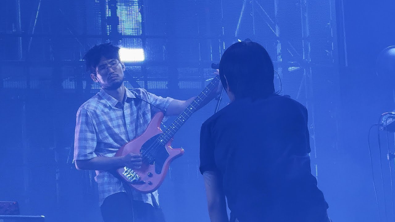 실리카겔(Silica Gel) - NO PAIN | BML 2025