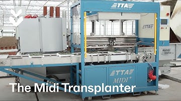 The Midi Transplanter | TTA-ISO