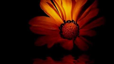 ~ تلاوة هي من أجــــــمل ما سمعت في حياتي !!!! ~