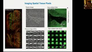 DBiT-seq for High-Spatial-Resolution Multi-Omics Profiling