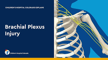 Brachial Plexus Injury