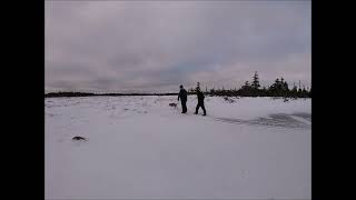 Gods willing and were able , well do this again tomorrow.