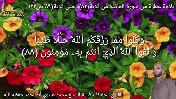 @يتلوعلينا القارئ الحافظ فضيلة الشيخ محمد عليوي ماتيسر من سورة المائدة من الآية(٨٣)حتى الآية(٨٩)ص١٢٢
