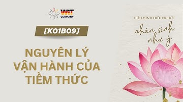 [K02B09] Cấu trúc con người (Phần 5) - Nguyên lý vận hành của Tiềm thức | HMHN- NSNY