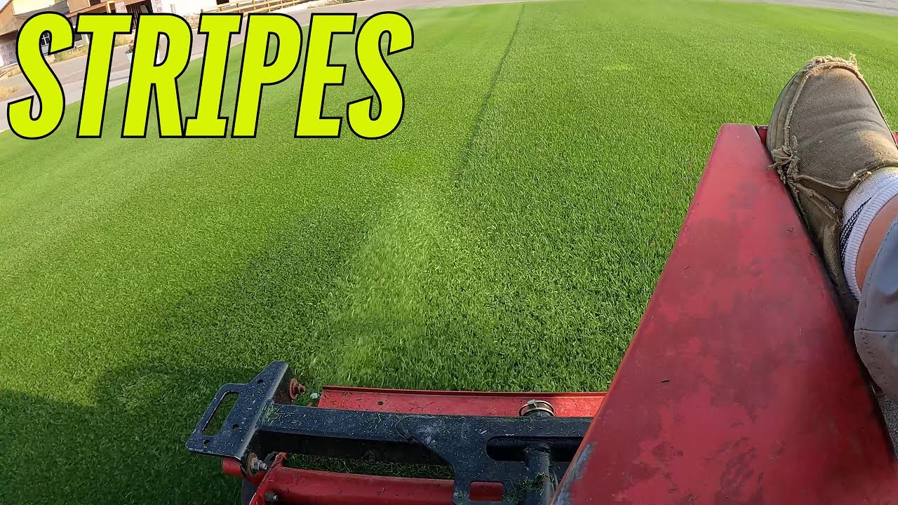 Газонокосилка Toro Reel Master 3100d