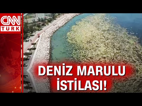İzmir’de sahil deniz