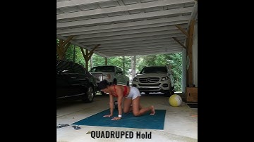 Quadruped Hold- ACTIVATION PREP