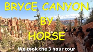 Bryce Canyon by Horse! Highly recommend it.