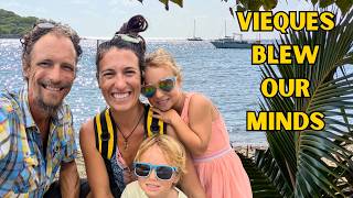 We Found the BRIGHTEST Bioluminescent Bay on Earth! Vieques (Family Sailing Caribbean) E378