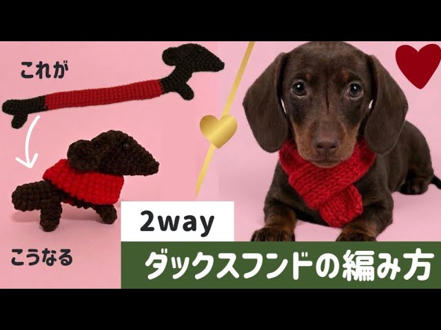 2WAYダックスフンドのあみぐるみ編み方動画🐶🧶 - YouTube
