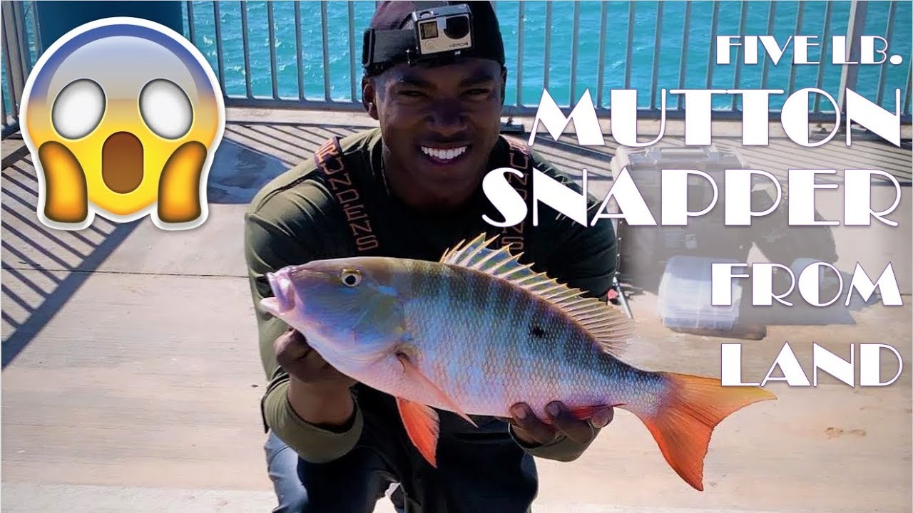 BIG Snapper caught! Bridge fishing in the Florida Keys - YouTube