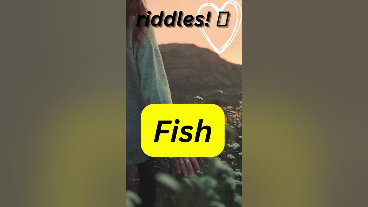 The hardest riddle in the world shortsfeed short youtube