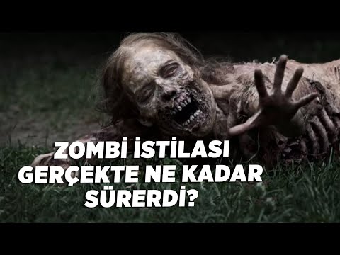 Zombi İstilası Gerçekte Ne Kadar Sürerdi?