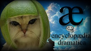 Exploring Encyclopedia Dramaticas Offended Page