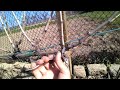 How To Cut A Vineyard Easy Way To Cut A Vineyard DOUBLE SIDED CORDON