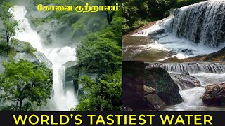 World’s tastiest water | கோவை குற்றாலம் | Siruvani