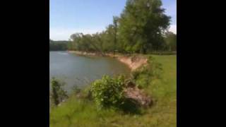 MLS # 10025277 E