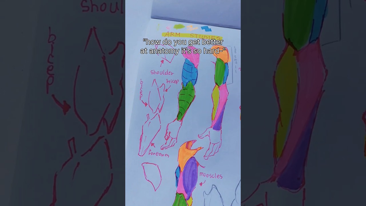 How do you even get better at anatomy... 