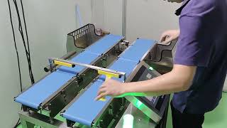 Two-Lane Checkweigher with Independent Rejects