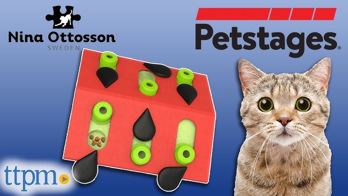 Petstages Buggin Out Puzzle Play Cat Toy