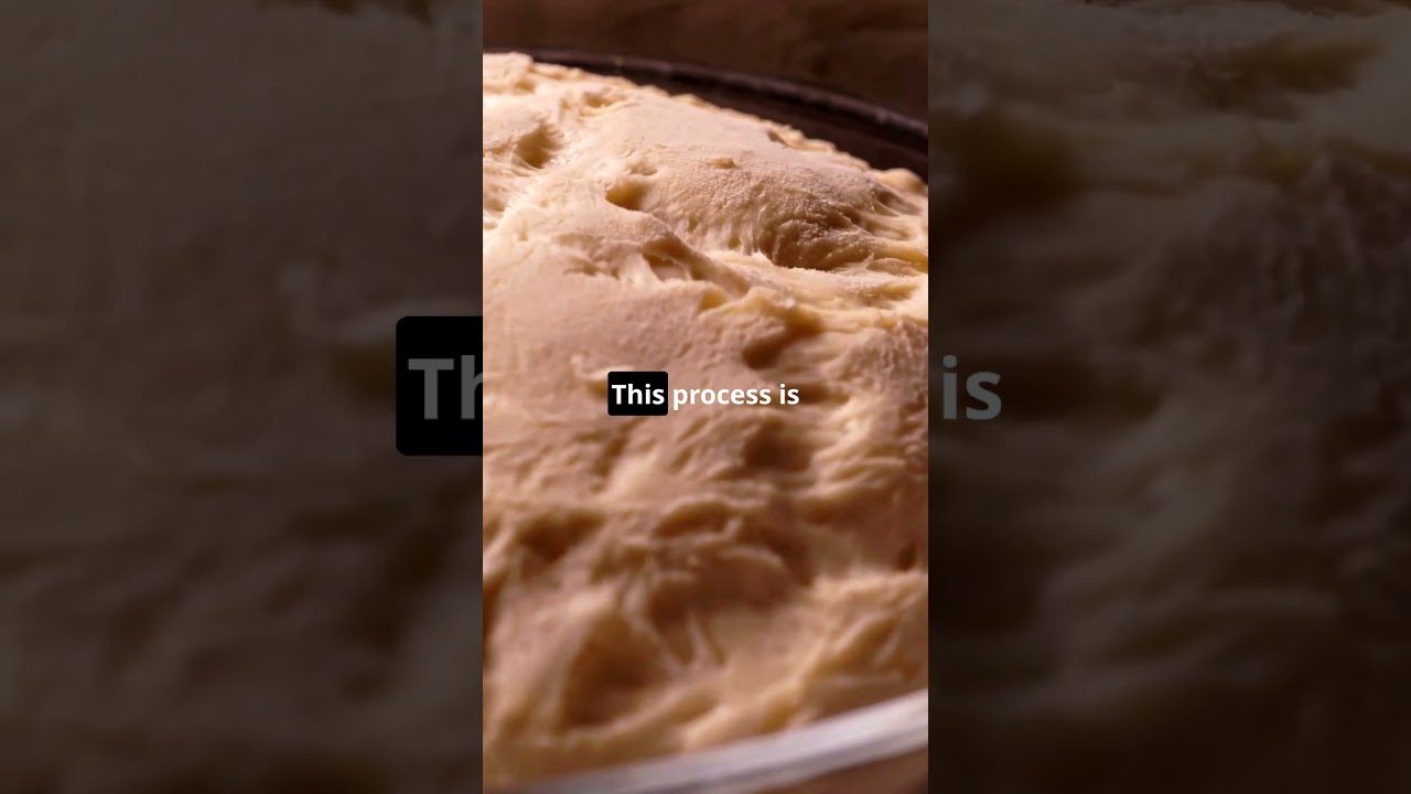 The Science Behind Bread Baking 🍞🔬 