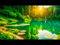 Beautiful Relaxing Music - Stop Overthinking, Stress Relief Music, Sleep Music, Calming Music #4