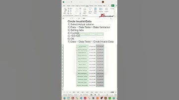 Circle Invalid Data In Excel - Excel Tips and Tricks