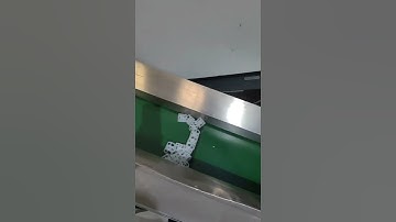 Production Plastic Pall Ring