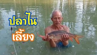 ASMR:หว่านแห ปิ้งปลาเตาดินกินข้าวเที่ยง People are living by catching fish to make delicious food