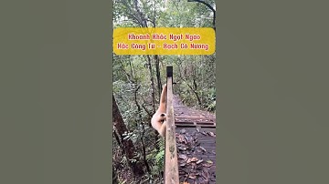 Khoảnh khắc ngọt ngào của Hắc công tử và Bạch cô nương giữa núi rừng #hắccôngtử #bạchcônương