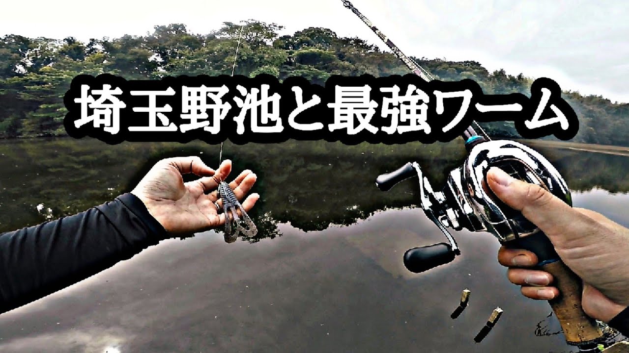 Saitama ponds are not worn out. Saitama black bass fishing