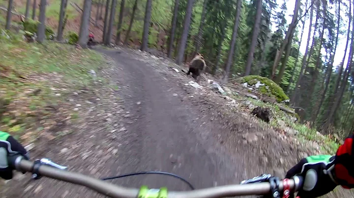 Bear on the Bikepark // SLOW MOTION  // Malino Brdo SLOVAKIA