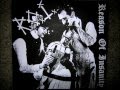 Reason Of Insanity - Not So Fucking Brite.wmv