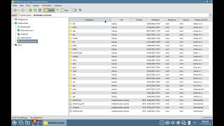 Астра Линукс для дома: работа с файлами, особенности файловой системы